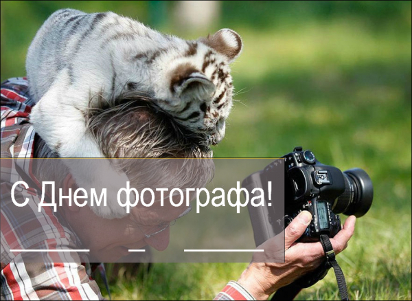 День фотографа — 12 июля. Поздравления с Международным днем фотографа