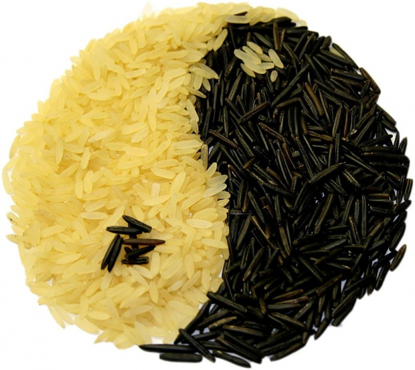 Мы заставим тебя правильно варить рис — все только об этом