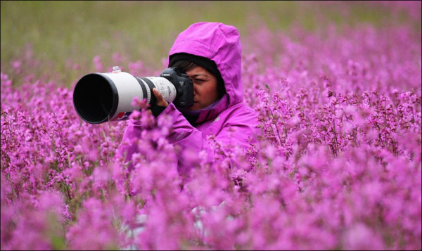День фотографа — 12 июля. Поздравления с Международным днем фотографа