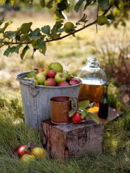 Яблочный Спас — поздравления, смс, стихи, открытки