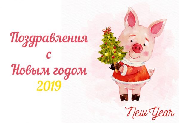 Поздравления с Новым годом 2019, прикольные картинки в год Свиньи