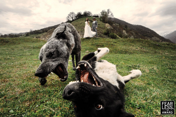 Высший класс: самые смешные свадебные фотографии