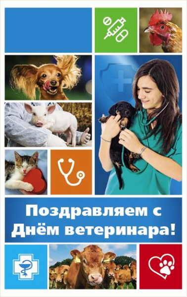 День ветеринара – поздравления, открытки и картинки с праздником