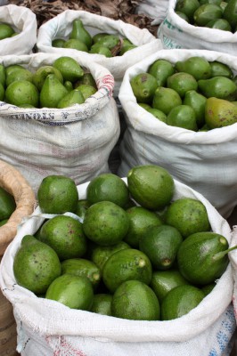 7 фактов о пользе авокадо, которых вы не знали